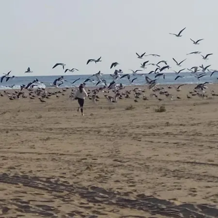 Apartamento Casa Tete Faro