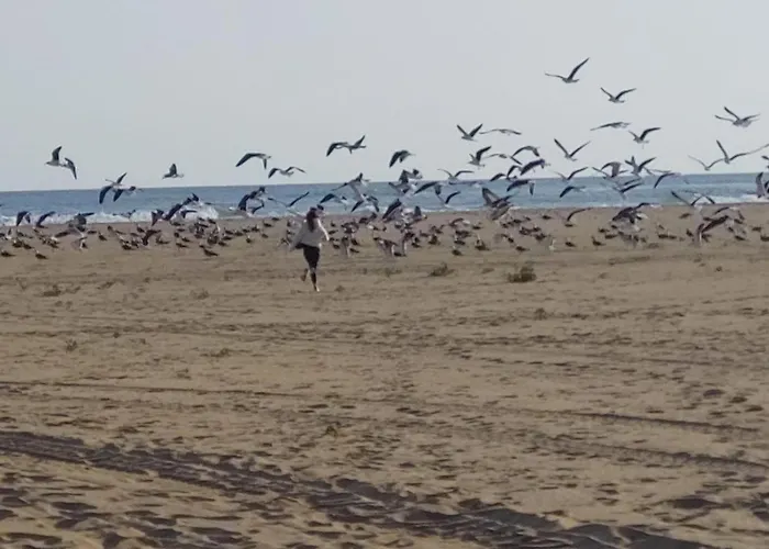 شقة Casa Tete فارو